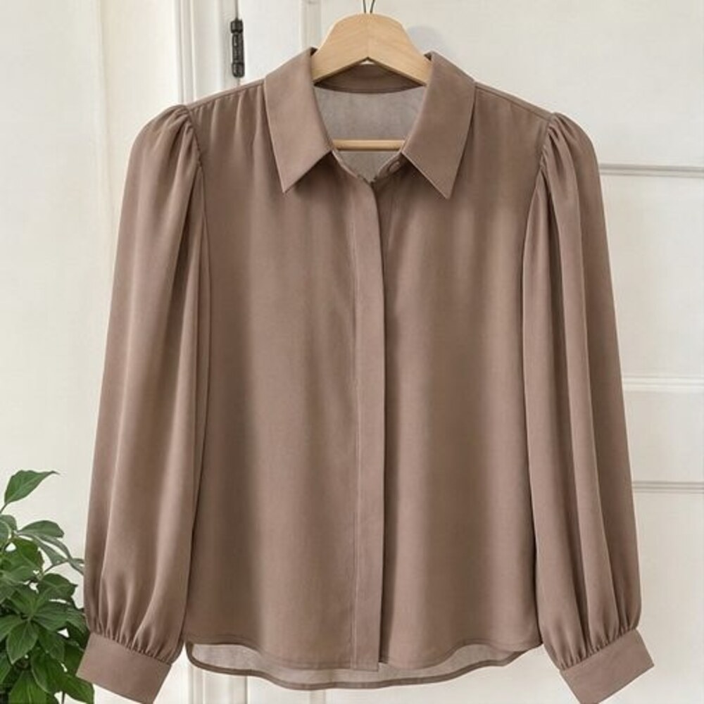 Taupe Tunic Blouse